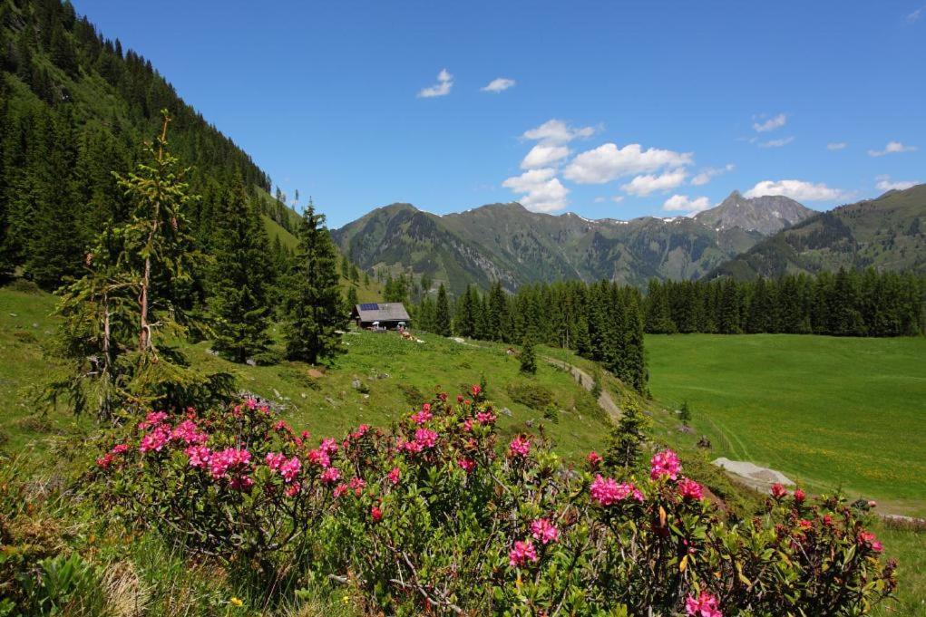 Naturhotel Huettenwirt Im Grossarltal Hüttschlag Extérieur photo