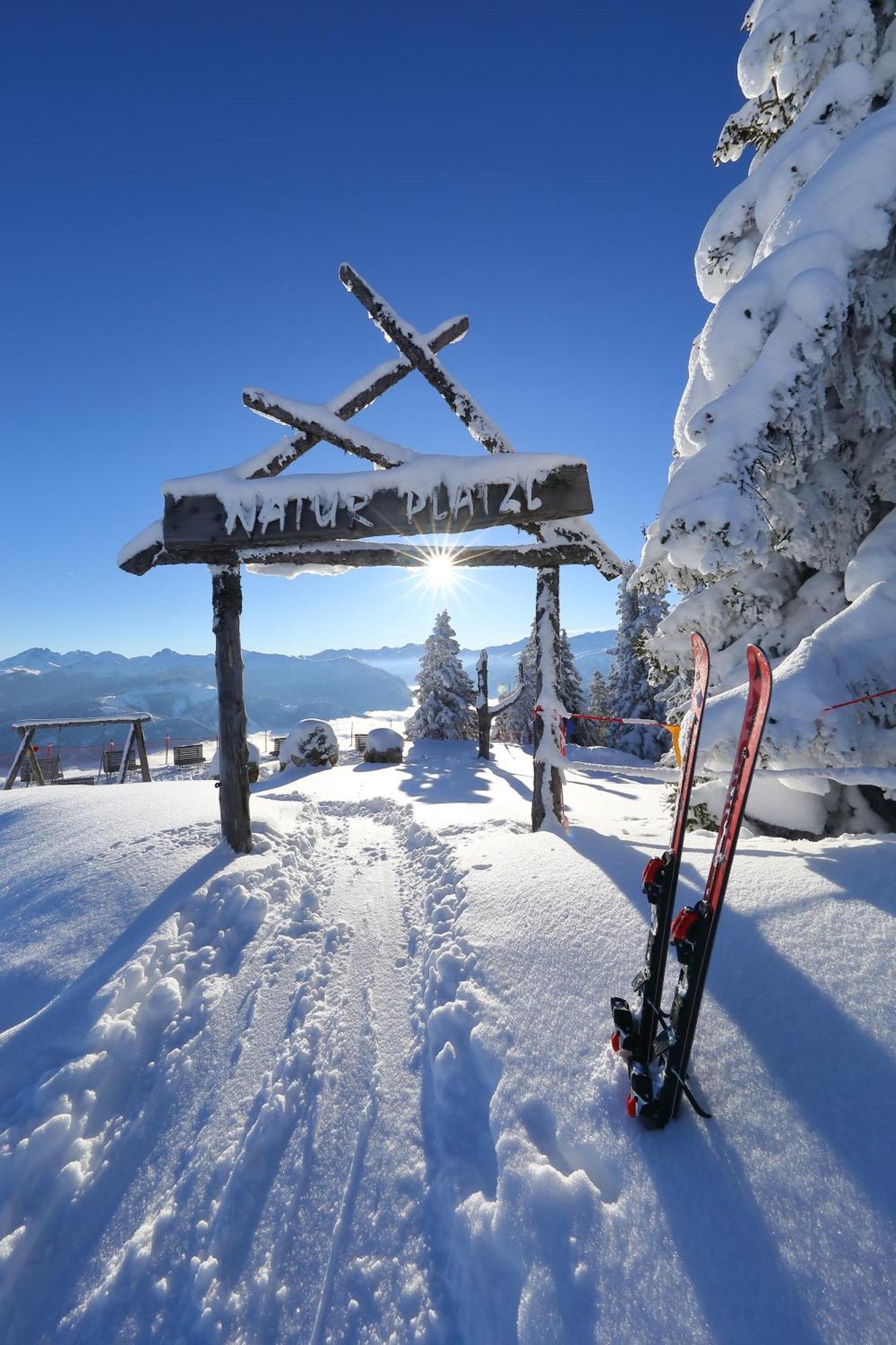 Naturhotel Huettenwirt Im Grossarltal Hüttschlag Extérieur photo